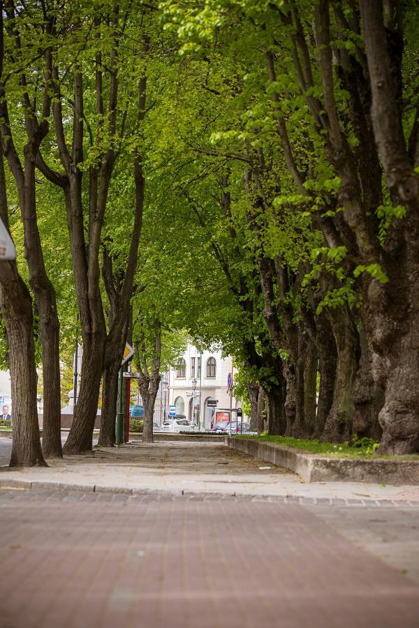 Dvieju Kambariu Butas Klaipedos Centre Διαμέρισμα Κλαϊπέντα Εξωτερικό φωτογραφία